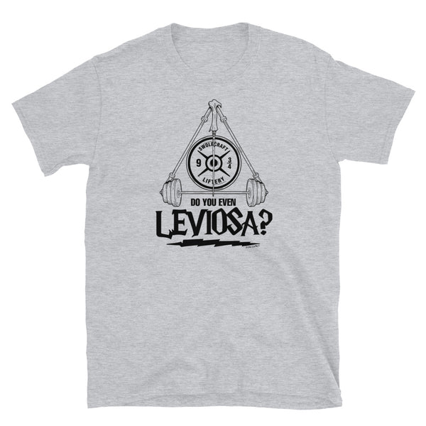 Do You Even Leviosa (Brosics)