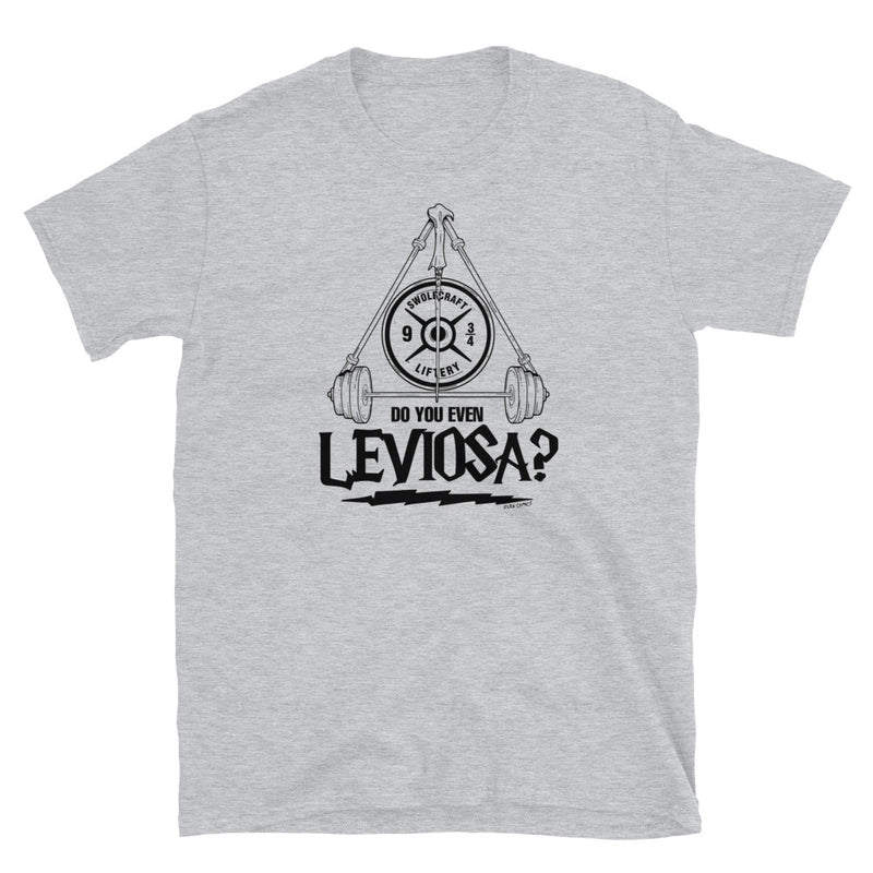 Do You Even Leviosa (Brosics)