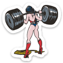 Wonder Squats - Vinyl Sticker